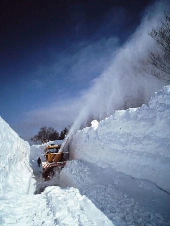 青森の雪